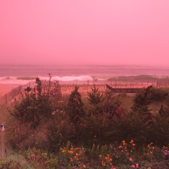 Meet your Posher, Angela 🦋🌊🦋🌊🦋🌊🦋 - Picture 2 of 16